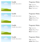 Editable Wholesale Line Sheet Template